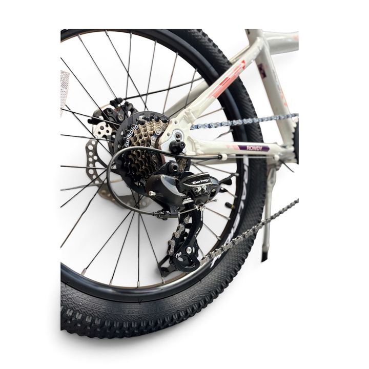 Bicicleta Raleigh Rowdy D / Blanco/Rosa / Frenos a disco mecánicos / Cuadro de aluminio / 7Vel. / Rodado 20". - Vista 2