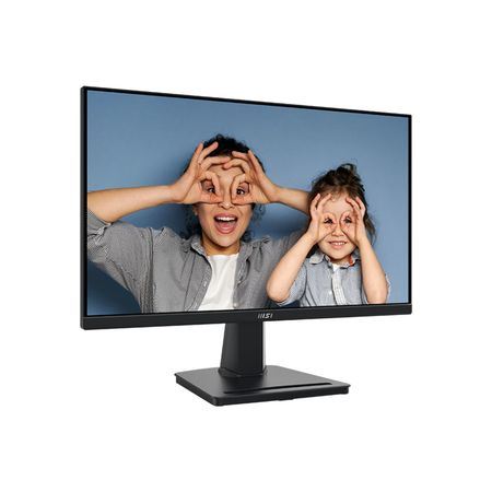 Monitor Led 24.5 Msi Pro Mp251 Full Hd 100hz Negro