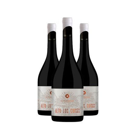 Vino Tinto Alto los Cuises Malbec 2019 Caja x 3
