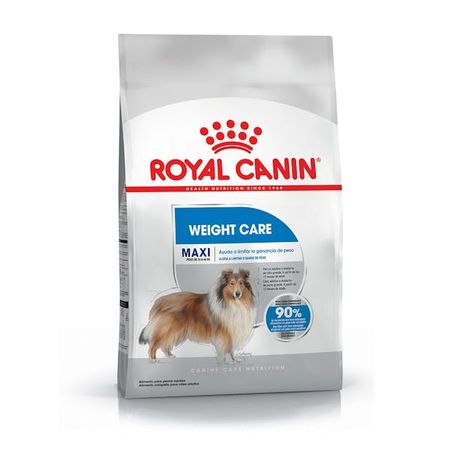 MAXI ADULT x 3 kg