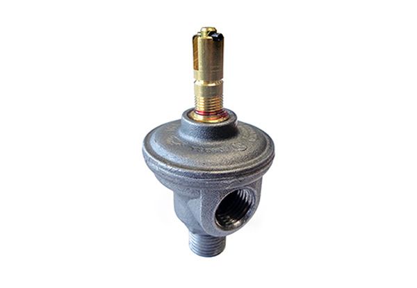 Calefactor Premium S/Sal 2200c Mgas Eca2 Longvie - Vista 7