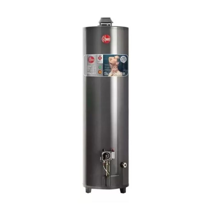 Termotanque A Gas Rheem Alta Potencia De Pie 160 Lts Gas Natural - Vista 1