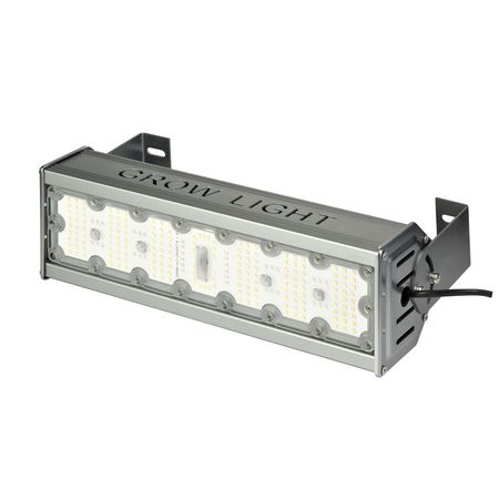 Luz Led Cultivo Indoor Gadnic Reflector Blanco de 60w