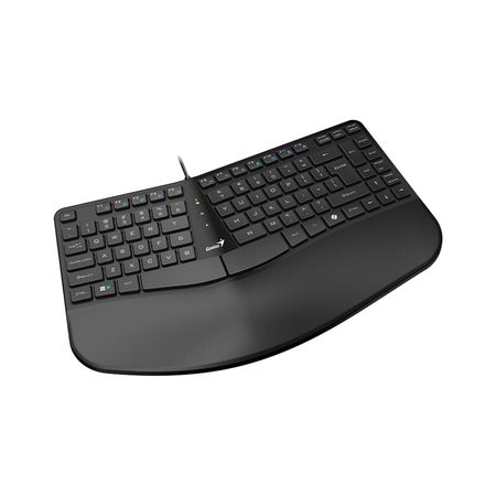 Teclado Genius Ergo KB-700 USB Ergonomico Negro