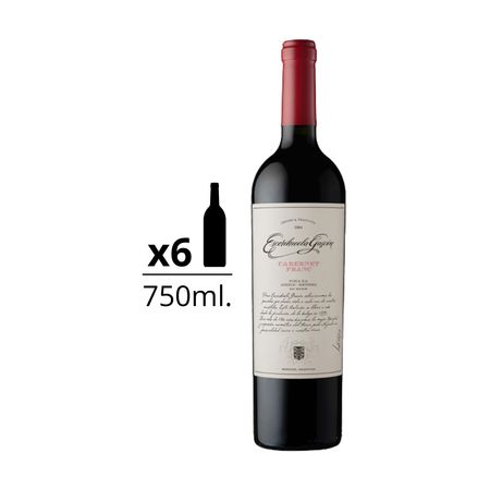 Vino Tinto Escorihuela Gascon Cabernet Franc Caja x 6