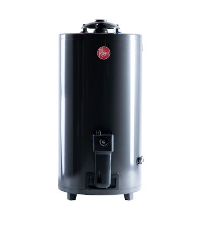 Termotanque Aee Gn Pie 080 Litros Conexión Superior Tgnp080rh Gris Rheem