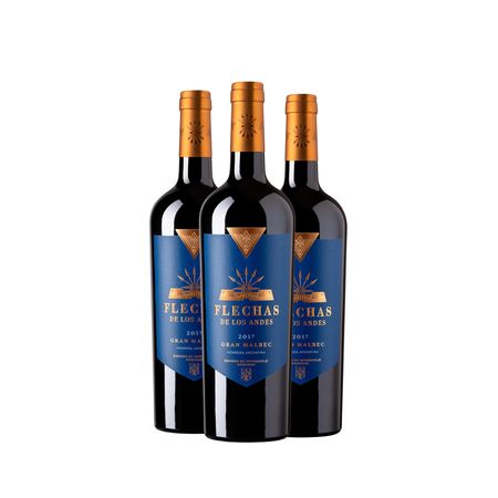 Vino Tinto Flechas de los Andes Gran Malbec 750 ml Caja x 3