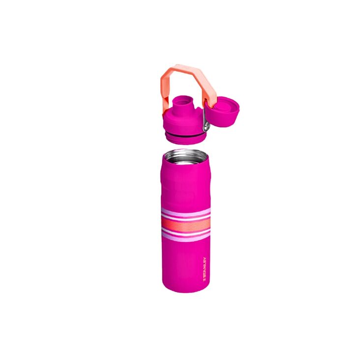 BOTELLA STANLEY FAST FLOW LID 0.71L (C:FUSCHIA MESH ICEFLOW BOTTLE) - Vista 2