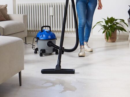 Aspiradora AR Blue Clean 3170 Annovi Reverberi 1200W