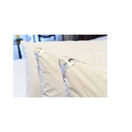 ALMOHADA PADKOVA - 40X70, PLUMA 100% DUVET (630)