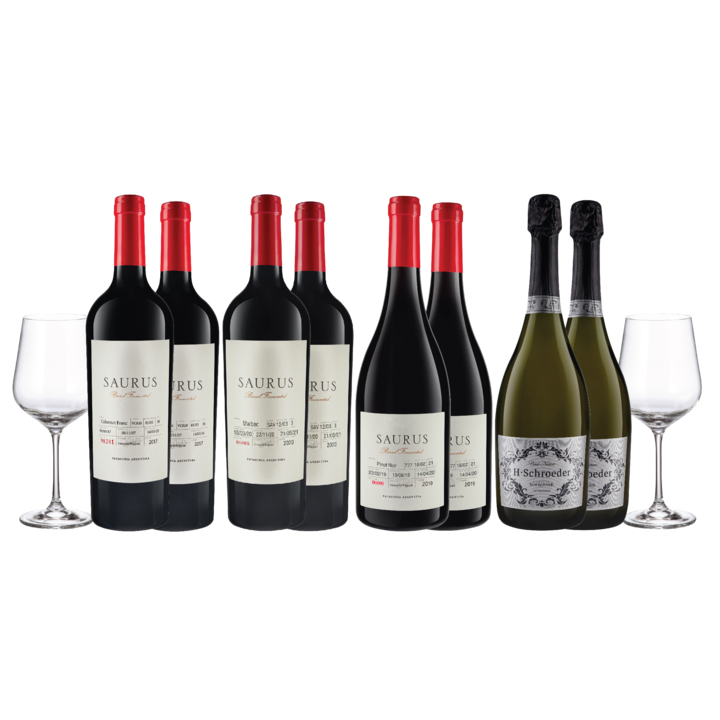 SmartBox Saurus Schroeder Seleccion x 8 y 2 Copas - Vista 1