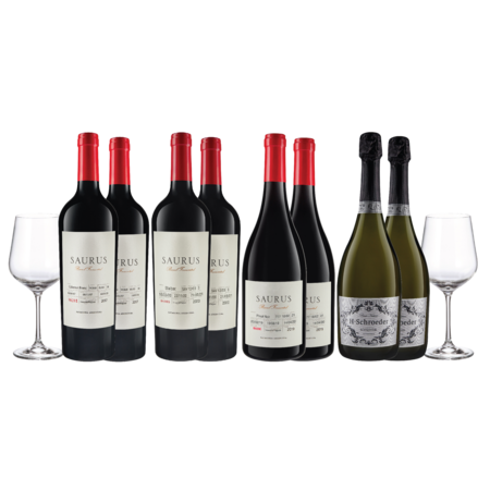 SmartBox Saurus Schroeder Seleccion x 8 y 2 Copas