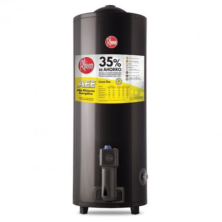 Termotanque Aee Gn Pie 080 Litros Conexión Superior Tgnp080rh Gris Rheem