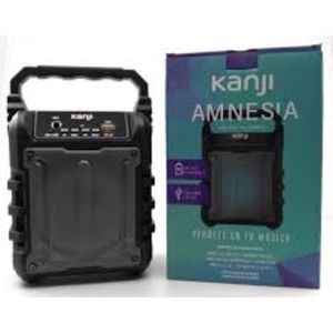 PARLANTE AUDIO ACTIVO KANJI HARRISON AMNESIA CON INALAMBRICA - 4608105