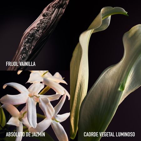 Perfume Paco Rabanne Olympea Parfum Mujer Importado 80ml