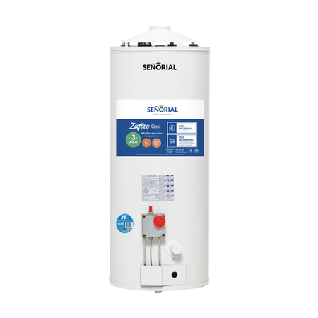 TERMOTANQUE MULTIGAS 50 SEÑORIAL ALTA RECUPERACION