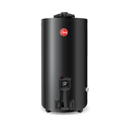 Termotanque Rheem TGNP080RH 80Lts G/N C/Sup. De Pie