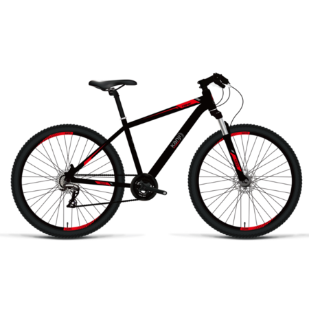 BICI KANJI ON WEELS R29 ACERO