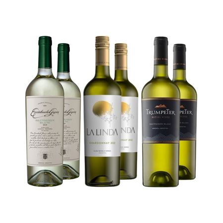 Set Vinos Blancos Seleccion I x 6 Con Estuche