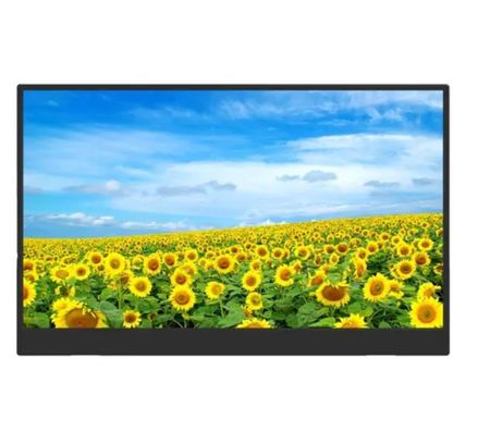 Monitor Portátil Gadnic 156 con Funda Soporte Full HD