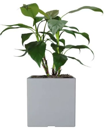 Maceta Rotomoldeo Cubo N40
