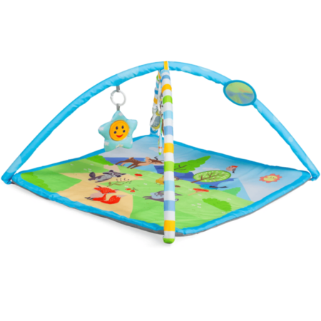 Gimnasio Actividades Cuadrado Celeste - Animales 5010-CJ