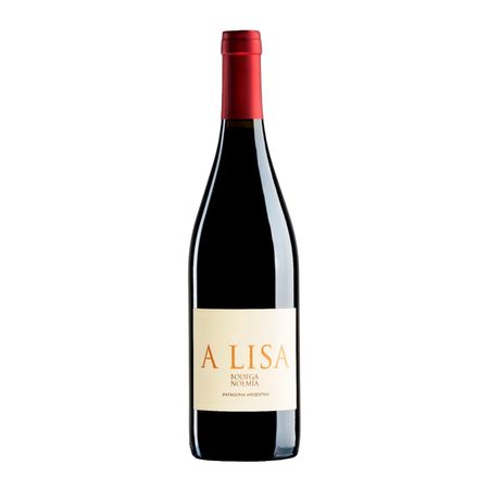 Vino Tinto Noemia A Lisa Malbec 750 ml