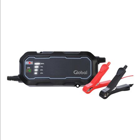 Cargador Batería · Pinzas · 8000 mAh · 12/24V - GLOBAL ELECTROINCS (JS8000-SC-220V)