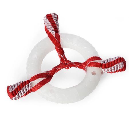 Juguete Para Perros Aro Luminoso Brilla En La Oscurdad Proline JPMPR547