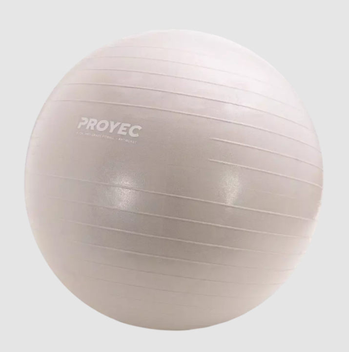 Pelota de Esferodinamia Resistent Proyec 65 cm (000218) - Vista 2
