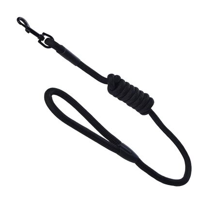 Correa 1.80 Cm Super Resistente Para Perros Proline VYPPR565PI