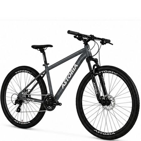 Bicicleta Mtb R29 Astoria Shimano 21v Cuadro Aluminio Dark Grey Talle L-19 