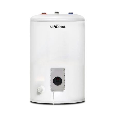 TERMOTANQUE ELECTRICO SEÑORIAL TESZP-65 ZAFIRO 65 50 LTS DE PIE COLGAR CONEXION SUPERIOR