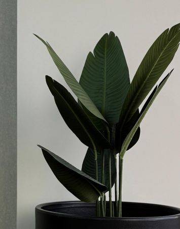 Planta Artificial 80CM