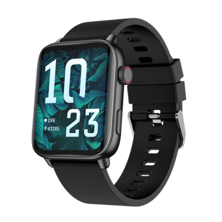 Smartwatch Quantum Q3 Dgray X View (100000011)