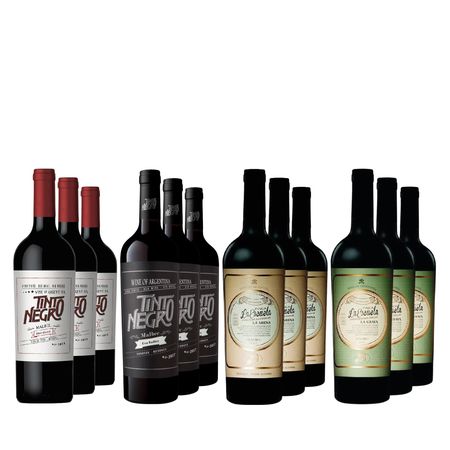 Vinos Tinto Negro Seleccion x 12