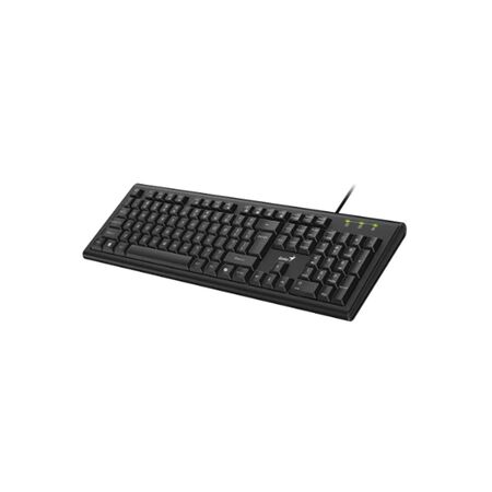 Teclado Genius KB113 Usb Negro