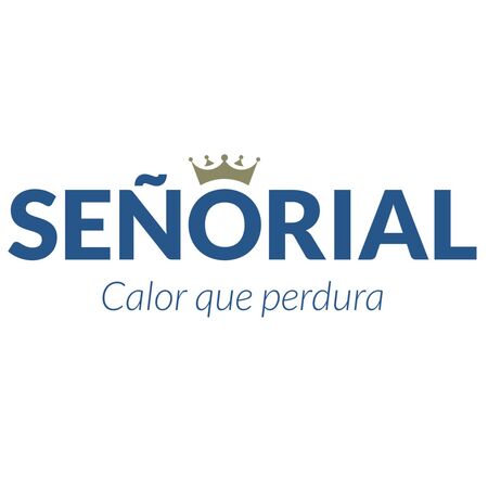 TERMOTANQUE ELECTRICO SEÑORIAL TESZP-65 ZAFIRO 65 50 LTS DE PIE COLGAR CONEXION SUPERIOR