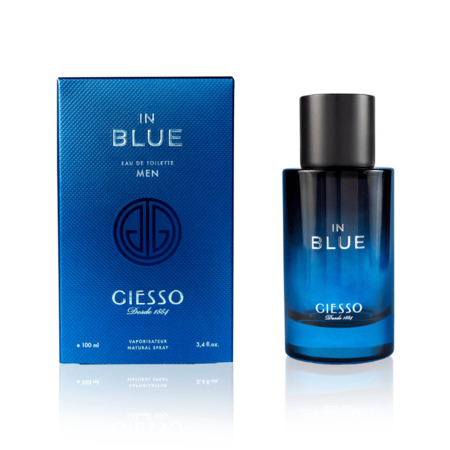 In Blue Men EDT 100 Ml