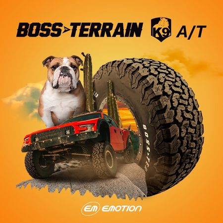 NEUMATICO BOSS TERRAIN LT245/75R16LT K9 120/116S WL