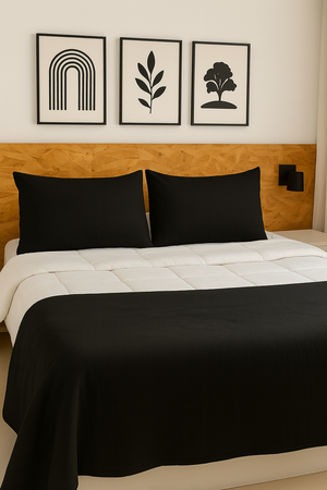 Combo 2 almohadones Tusor 70x50 con cierres Negro