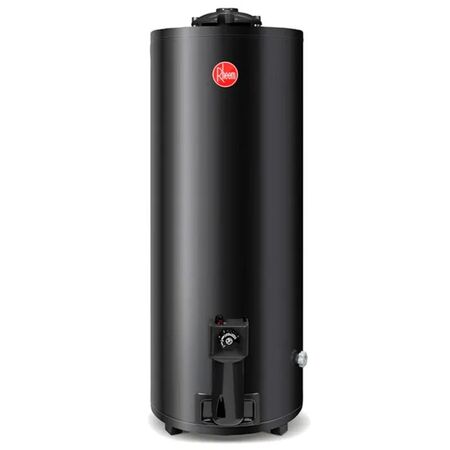 Termotanque Premium 120lts A.E.E De pie Gas natural Rheem