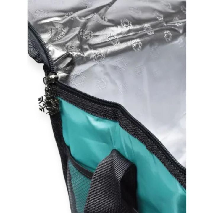 Bolso Conservadora Con Asa 30 Litros Térmica Camping - Vista 2