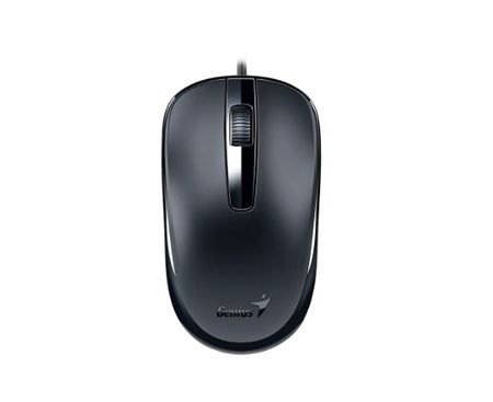 Mouse Genius DX-120,USB-C Black