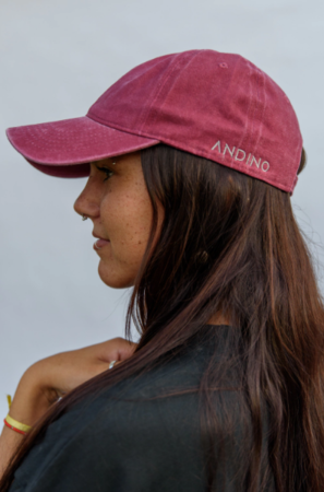 Gorra Andino