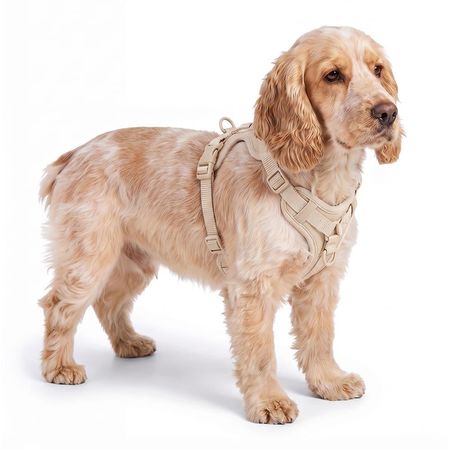 Arnés Para Perro Gadnic Acolchado Ajustable Resistente Paseos Seguros