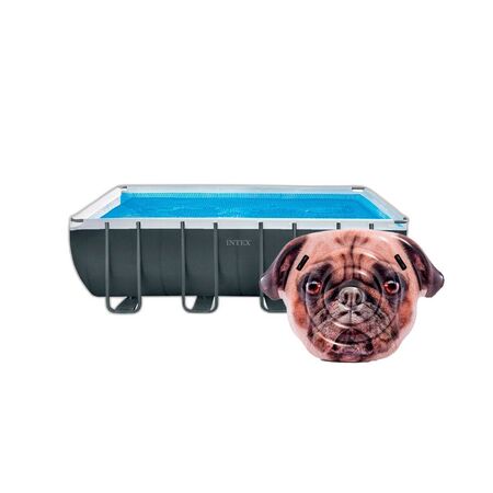 Combo Pileta Intex 17203L 549x132x274cm + Colchoneta Perrito