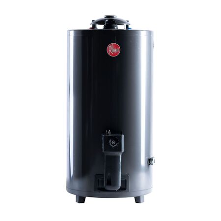 Termotanque Rheem TGNP080RH 80Lts G/N C/Sup. De Pie