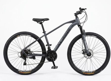 Bicicleta R29 Acero J22fa025 Talle M Gris Plata Alpine