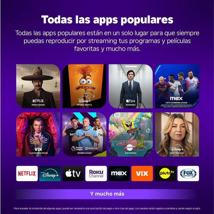 Reproductor de Streaming Roku Streaming Stick Full HD Negro - Vista 5